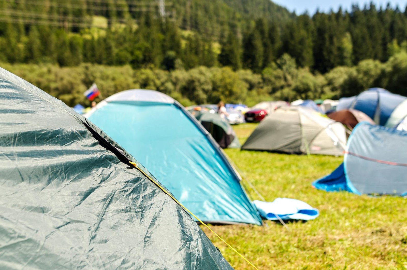 Tents in a forest clearing